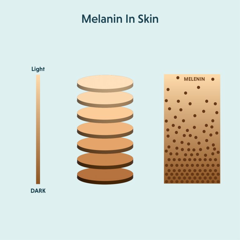 What Is Melanin